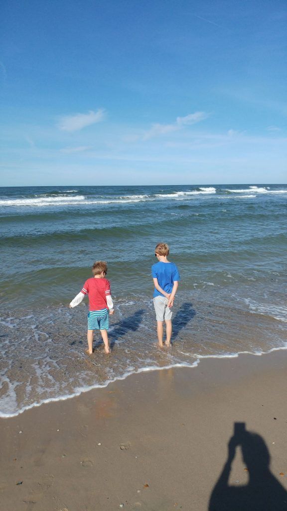 Out with the children to the beach and the zoo